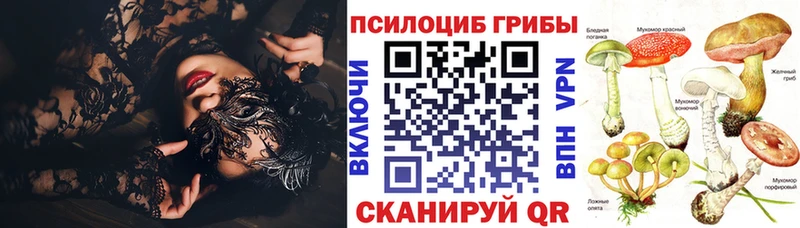 закладка  Лосино-Петровский  ОМГ ОМГ ТОР  Галлюциногенные грибы Psilocybe 