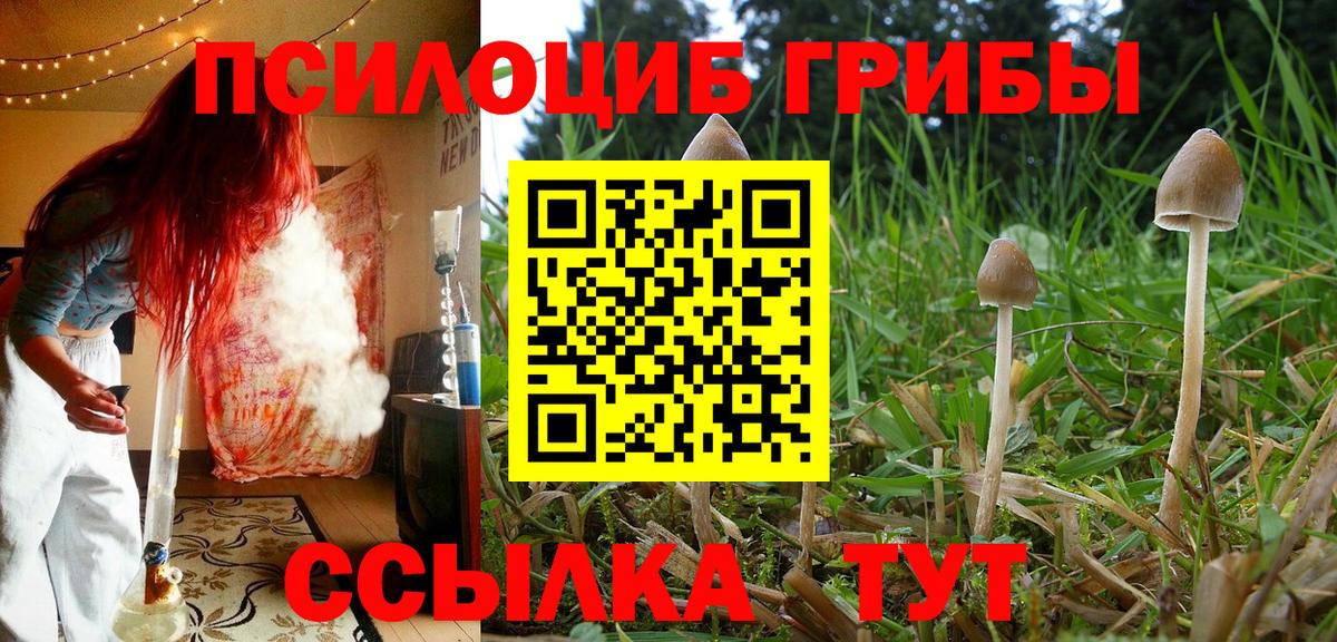 Меф Лосино-Петровский