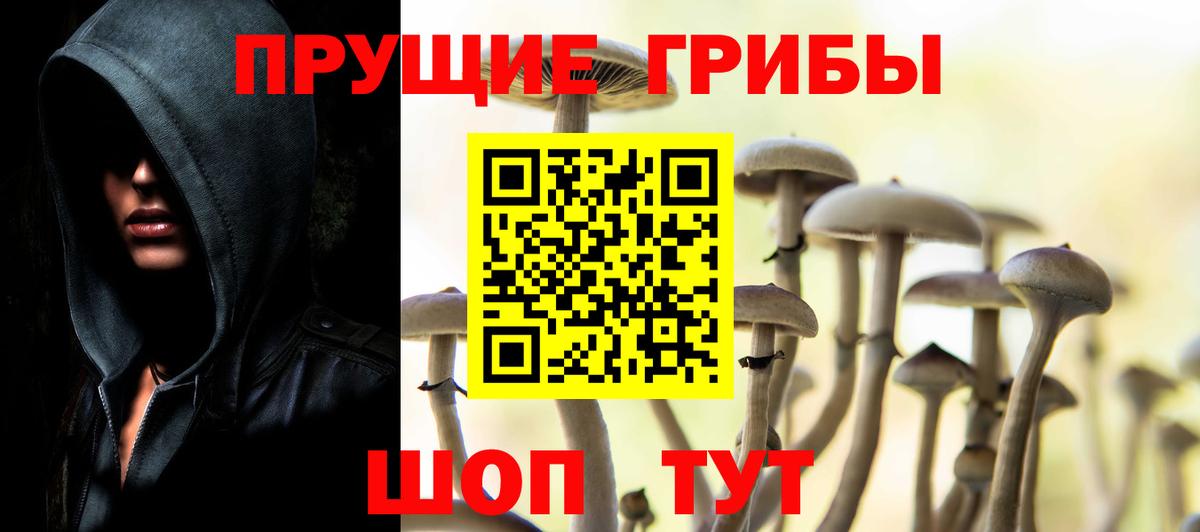 Псилоцибиновые грибы MAGIC MUSHROOMS Лосино-Петровский